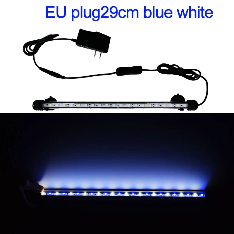 29 blue white