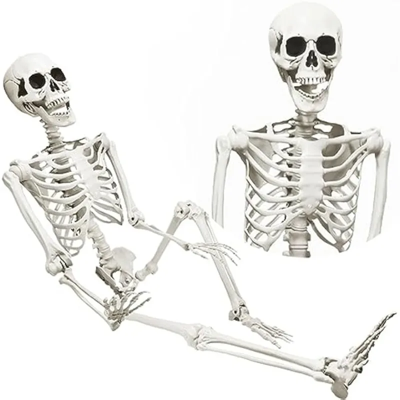 

DINESIL 5.4ft/165cm Halloween Skeleton, Halloween Plastic Human Realistic Skeletons Life Size Full Body Bones with Movable