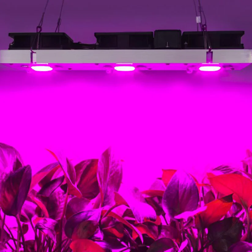 Led grow light full spectrum COB LED chip AC220V no need driver phyto lamp for indoor plant light seedling