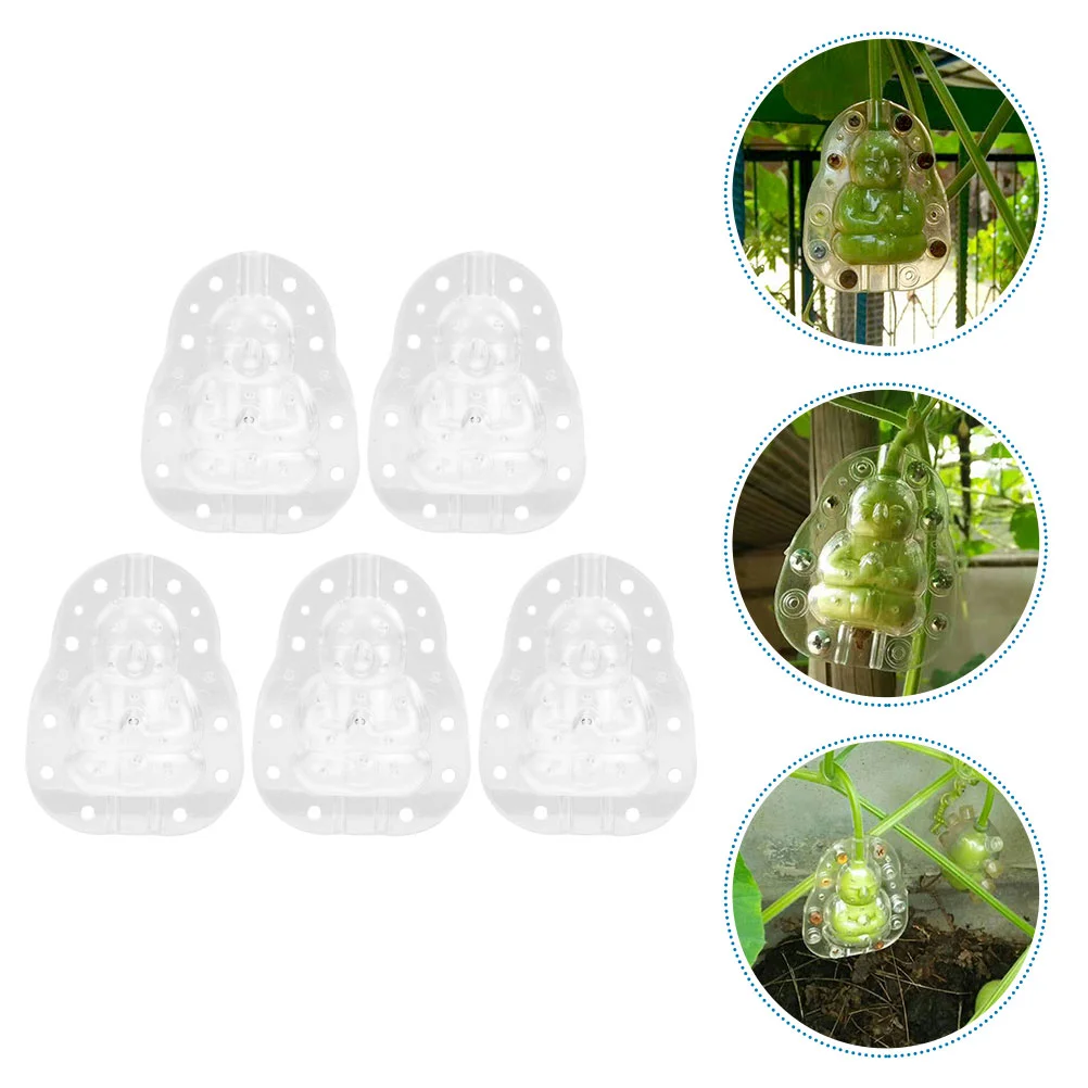 

Fruit Shaping Mold Garden Growth Mold Fruit Mold Ginseng Vegetable Growing Mold