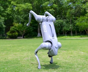 Home Unitree Go2 Robot Dog Quadruped Robotics for Adults Embodied AI(Go2 Air) 1