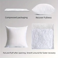 Coussins d'oreiller 2 pièces, coussin de canapé doux et Durable, Inserts d'oreiller moelleux, pour salon, canapé-lit, décoration de la maison 2