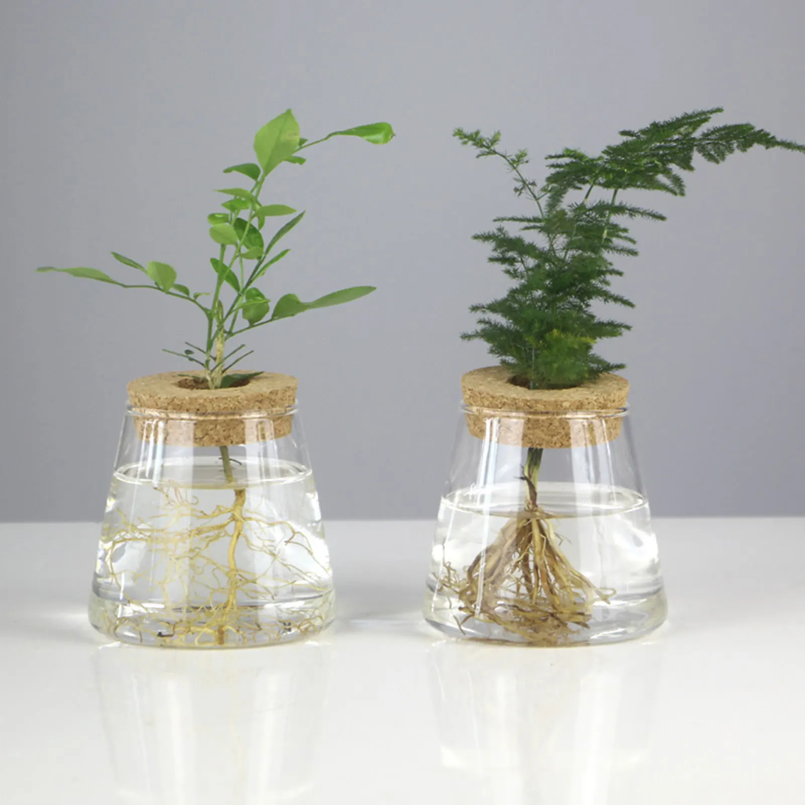 Elegant Glass Vase Propagation Station - Stylish Tabletop Plant Rack