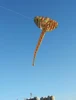 free shipping elephant kite flying soft giant kite 3d professional wind kites ripstop nylon fabric inflatable toys animal kite 6