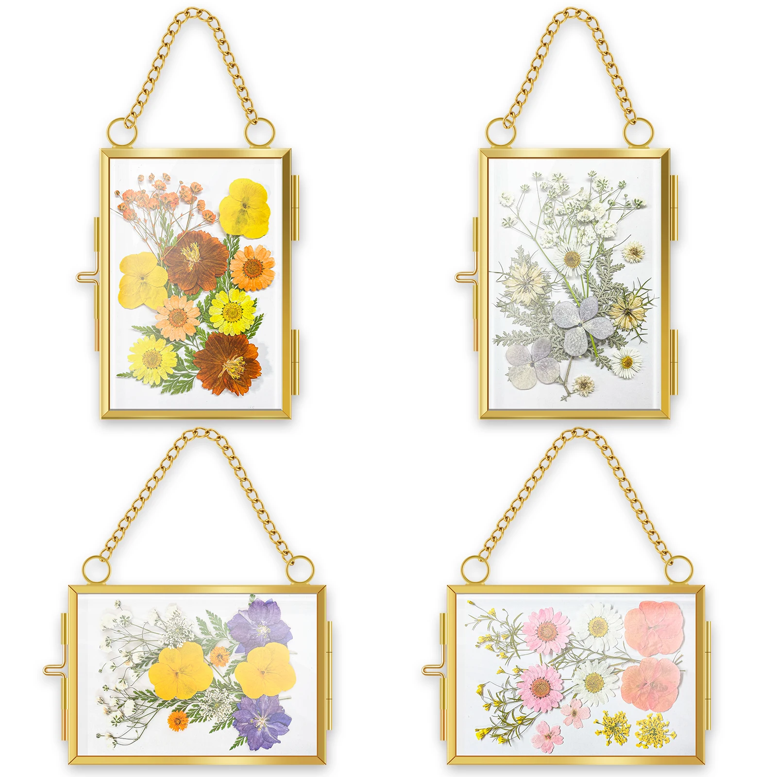 4Pcs Glass Pressed Flower Frames Hanging Pressed Flower Frames Beautiful Double Glass Frame Minimalist Clear