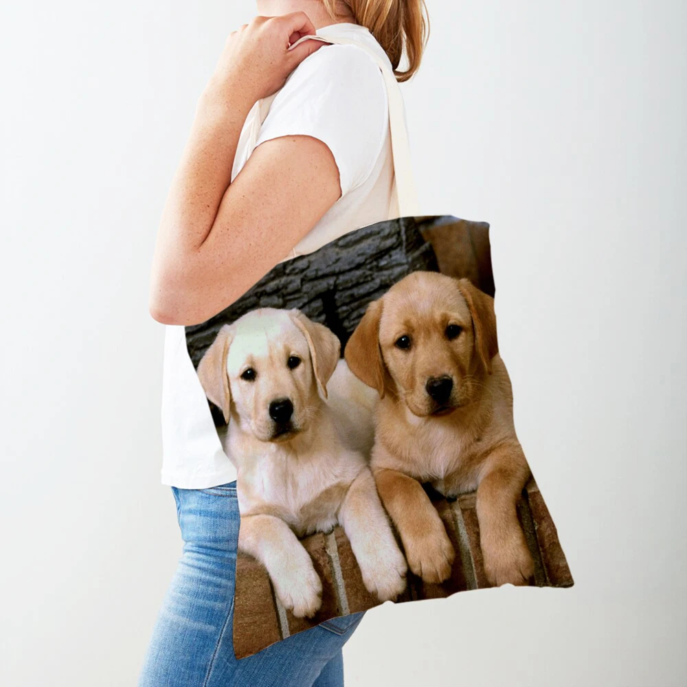 

Повседневная женская сумка для покупок, двухсторонняя Холщовая Сумка-тоут для покупок с изображением лабрадоров, животных, путешествий