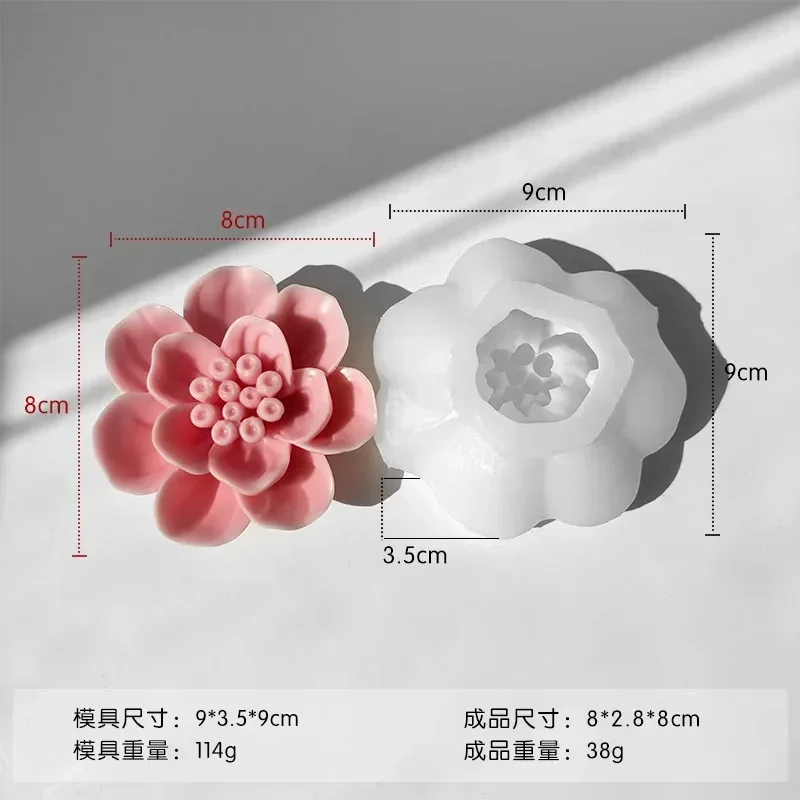 Hibiscus flower 9 13