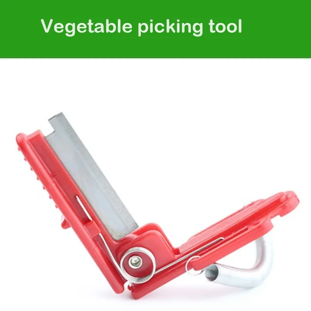 Knife Separator Vegetable Fruit Harvesting Picking Tool for Farm Garden Orchard Vegetable Thump Knife 4