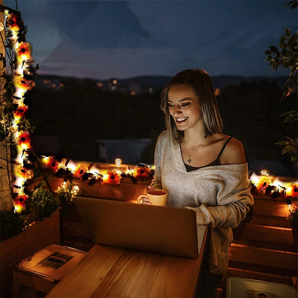 Рисунок 6 - Светодиодная гирлянда на батарейках/солнечных батареях