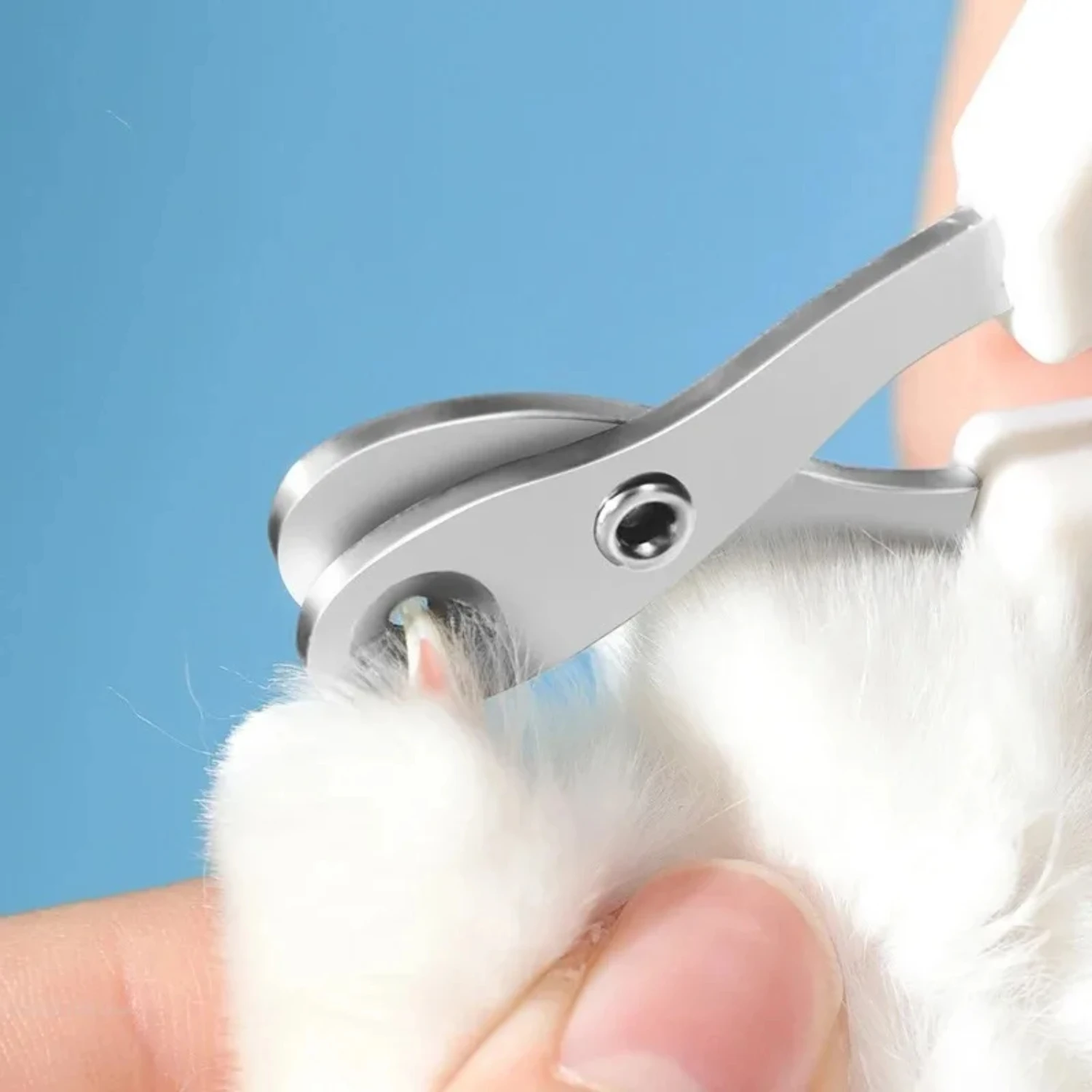 1pcs Cat Nail Clippers Small Cat Dog Stainless Steel Puppy Claws Cutter Pet Nail Grooming Supplies Pet Products