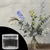 Spiral Ikebana Stem Holder Clear Spiral Flower Stem Stand DIY Floral Art Accessory Flower Vase Holder Ring for Party Wedding 3