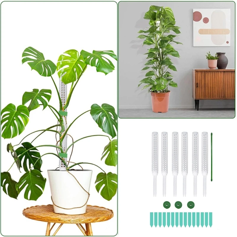 

6pc Plastic Moss Poles for Plant Monsteras Indoor Climbing Plant for Garden