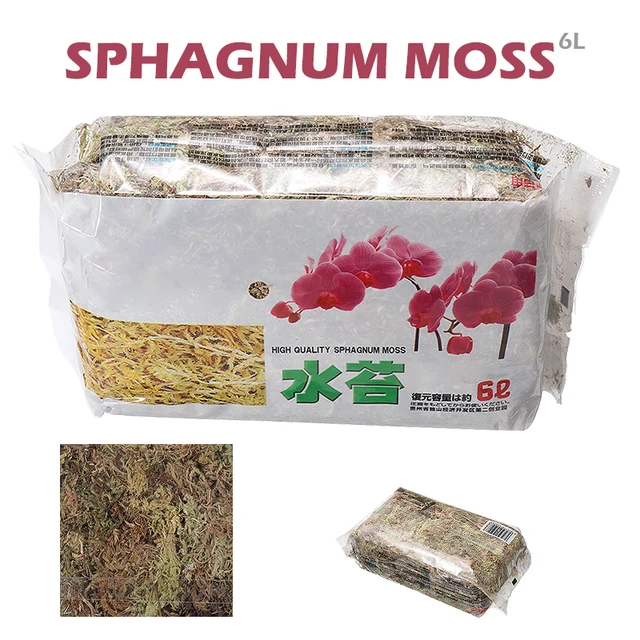 Új Érkezés 6L Sphagnum Moha Moss Hidratáló Szerves Műtrágya Orchidea Phalaenopsis Kiváló Minőségű Műtrágyához
