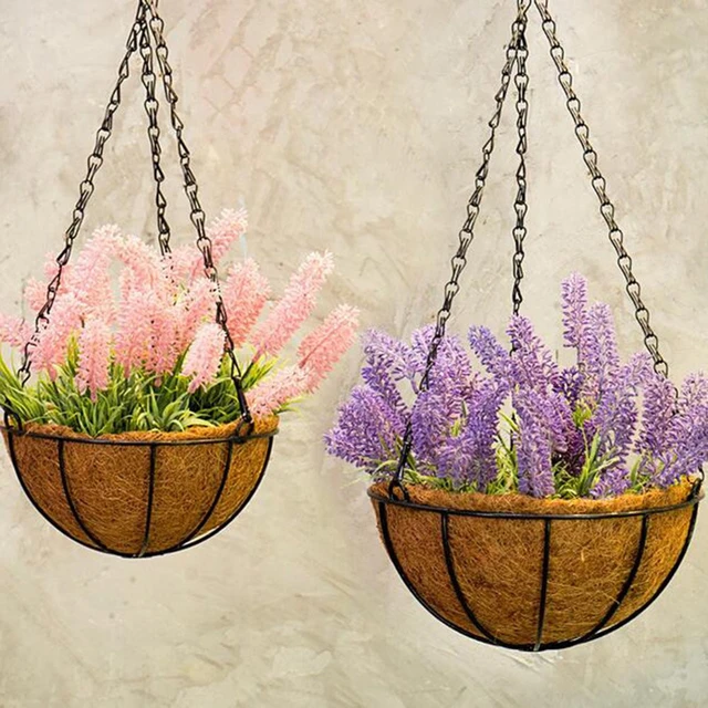 Share more than 80 decorative hanging baskets for plants best seven