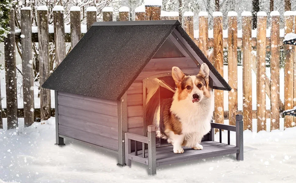 dog house