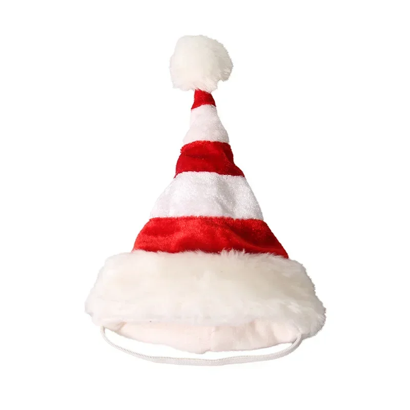 pet hat