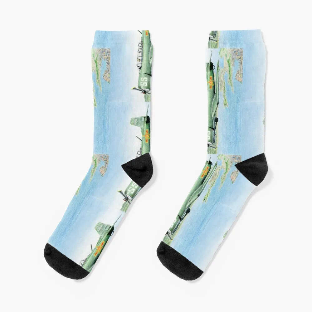 

Nanchang CJ-6A Socks halloween set hip hop cycling Socks For Girls Men's