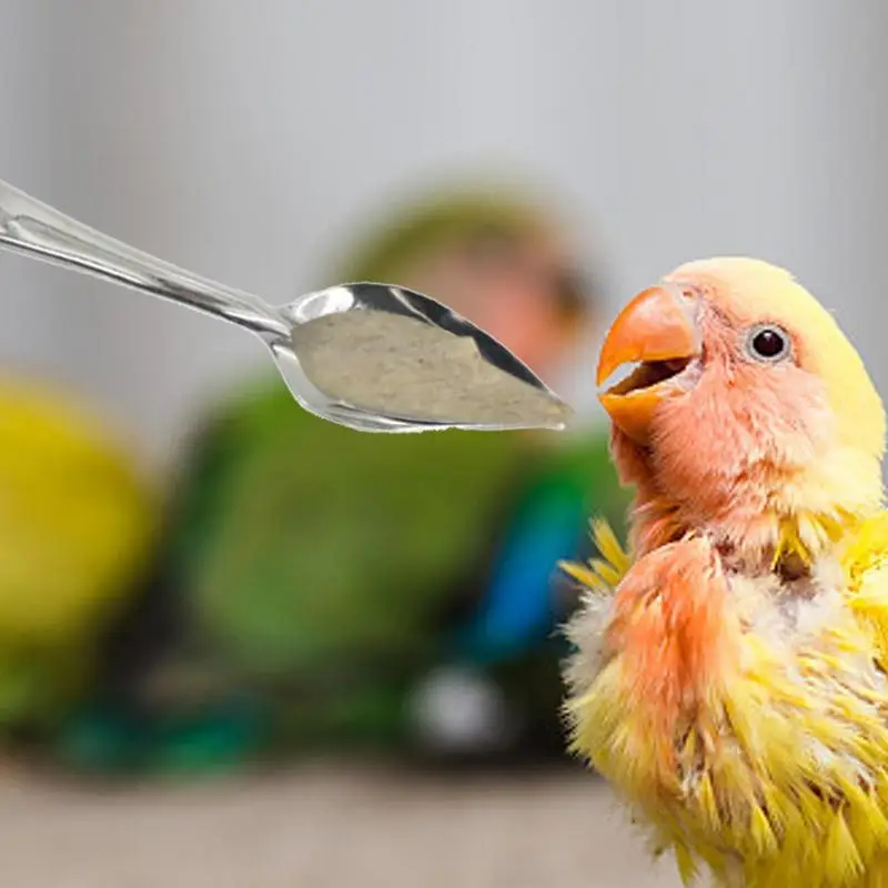 Bird Feeder Spoons 10Pcs Medicine Spoons Hand Feeding Spoon For Peony Metal Bird Milk Spoons Hand Feeding Spoon For Budgies 4