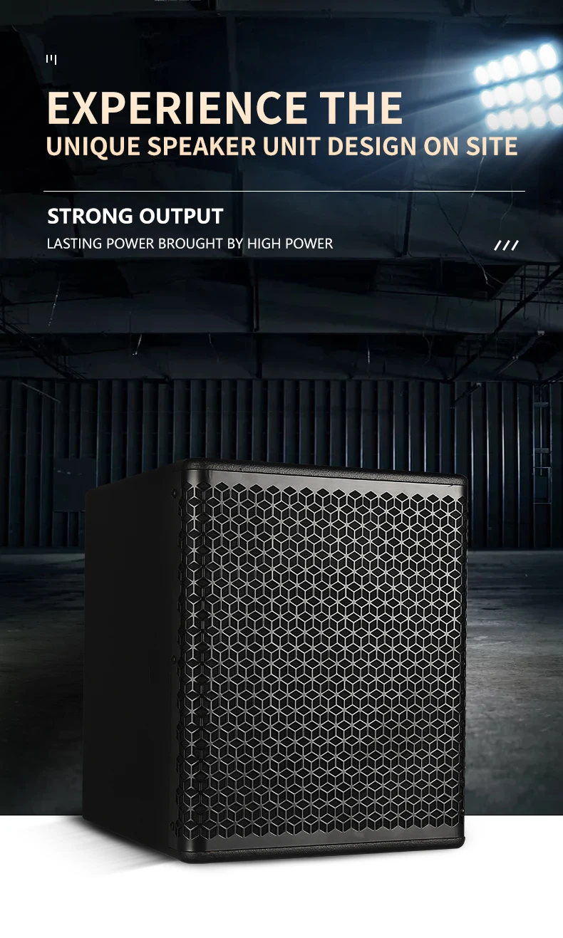 S110 10 Inch Professional Audio Music Studio Equipment Home Audio Party DJ Karaoke Speaker Box