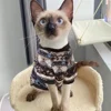 Plush Cat Dog Hoodies Thicken Pet Sweaters Autumn Winter Cat Puppy Clothes for Small Dogs Cats Kitten Pullovers Sphynx Clothing 4
