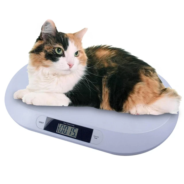 Small Pet Scale Digital Portable Dog Cats Scale Electronic Kitchen Food  Scale Weight Scale with LCD Display - AliExpress