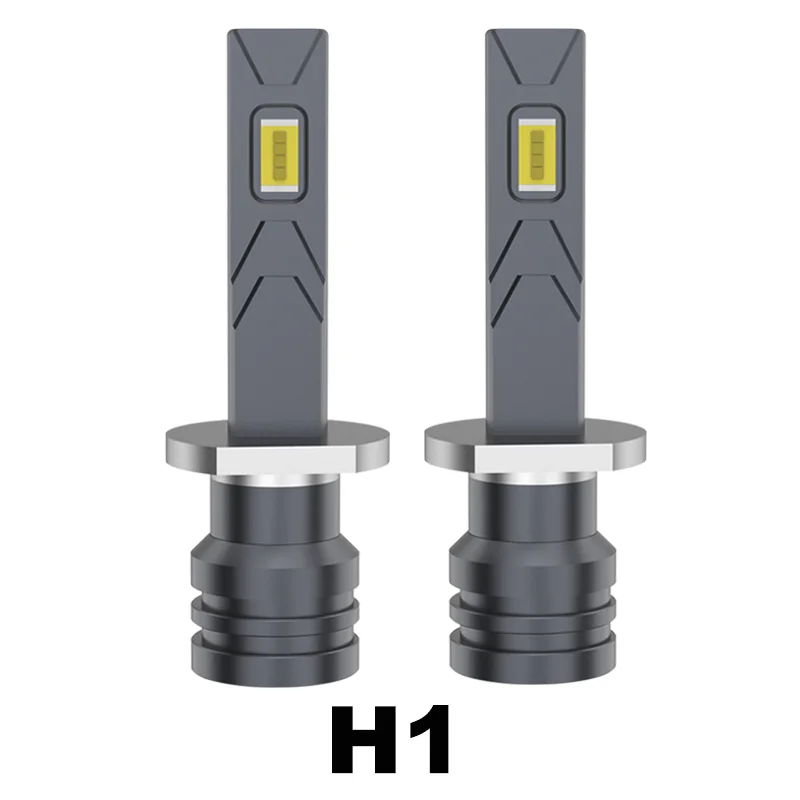 H1