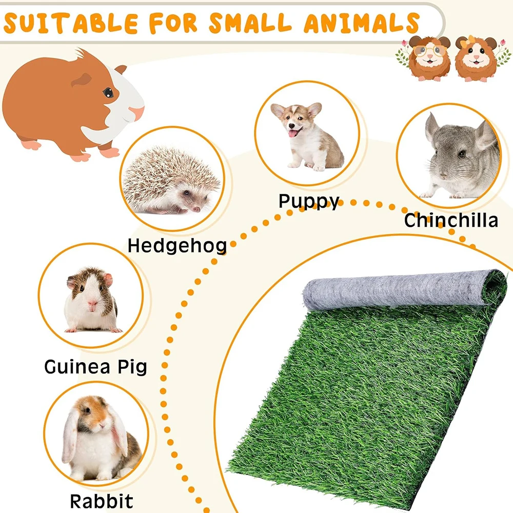Pet Grass Mat 2