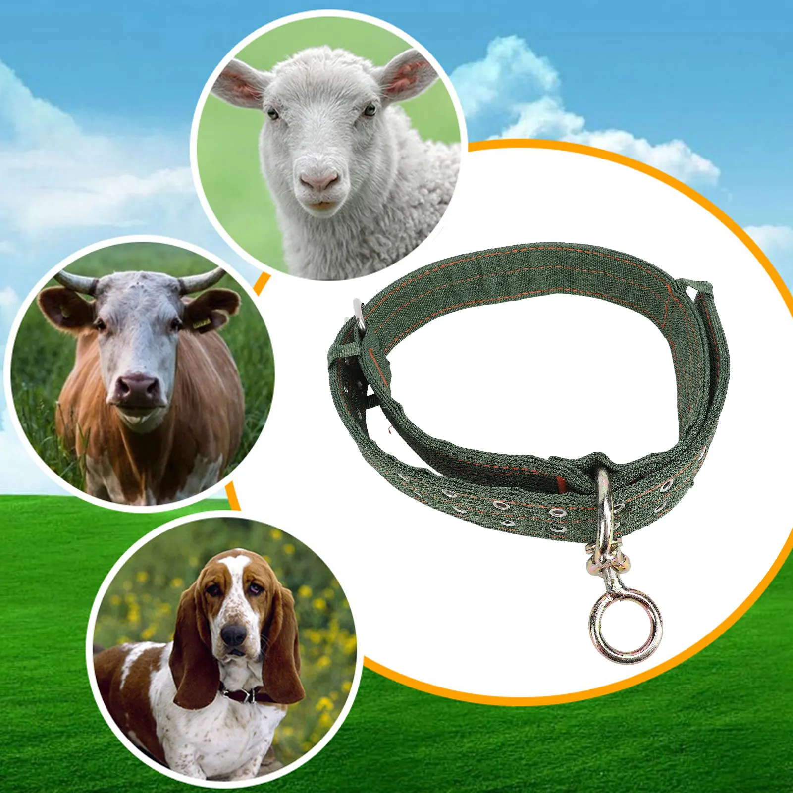 Cattle Collar Cattle Collar Nylon Thickened Heavy Duty Cow Show Collar ...