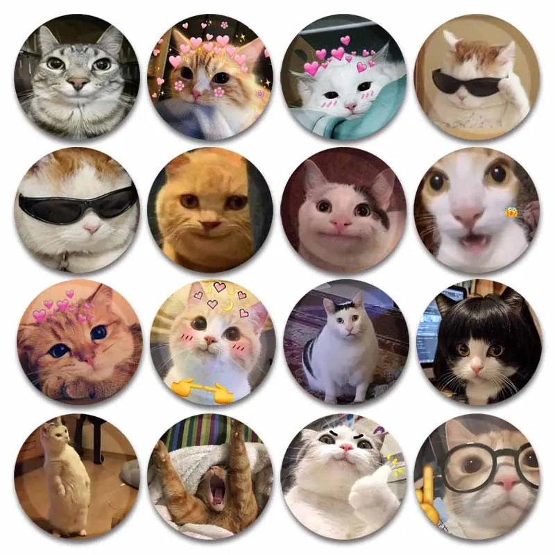 Funny Cat Memes Pins Round Snap-in Button Brooch