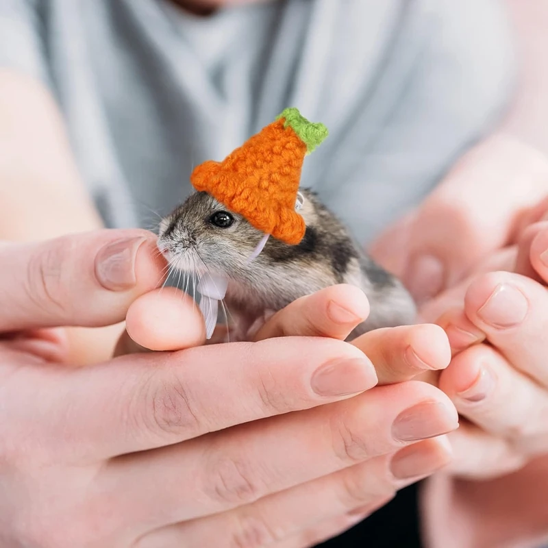 4 Pieces Hamster Hat Mini Small Animals Hat With Adjustable Strap Lovely Hand Knitted Frog Rainbow Carrot Tiny Hats