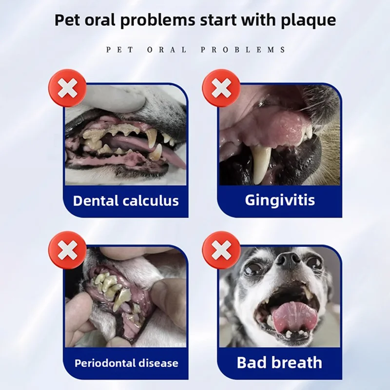 Milk Flavor Pet Toothpaste 2