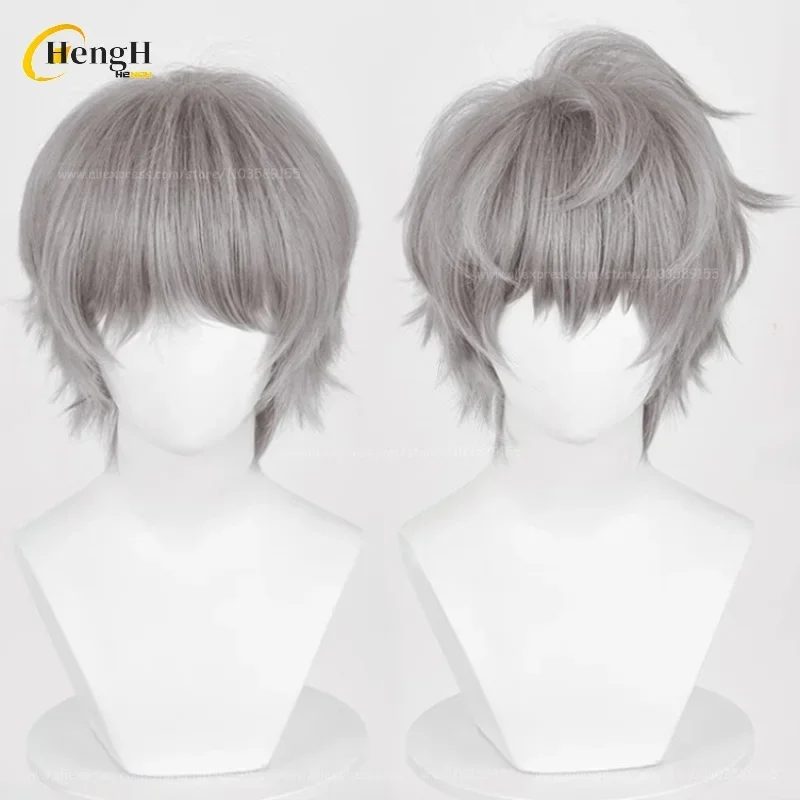 High Quality Till Synthetic Hair Anime Unisex 30cm Grey Wigs Heat