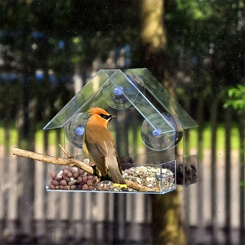 Clear Acrylic Window Bird Feeder - Adhesive PMMA Cage for Small Birds, Outdoor Garden Patio