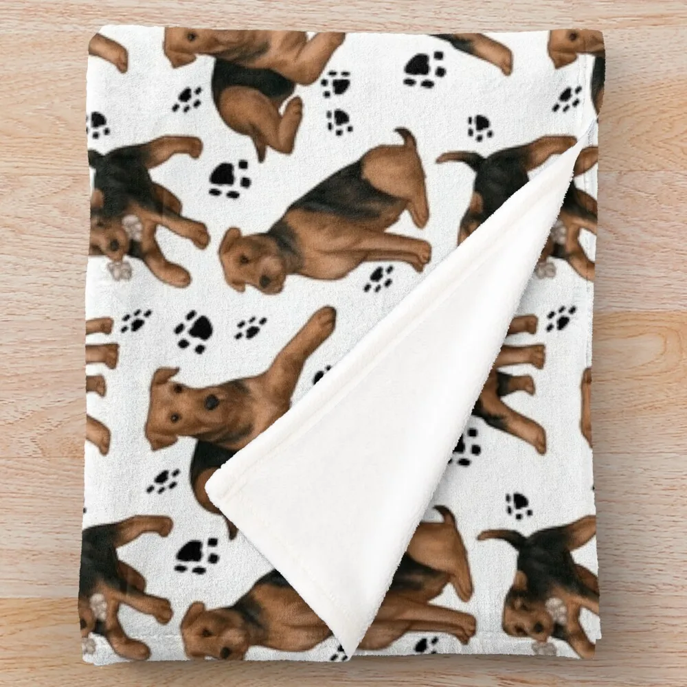 ����� ���� ������ ���� ���, ������