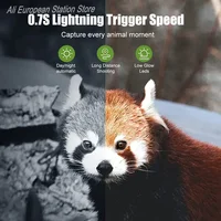 Mini caméra de chasse 16MP 1080P avec vision nocturne, détection de mouvement, étanche, pour la surveillance de la faune et les pièges extérieurs 5
