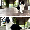 Dog Squeaky Toys Balls Strong Rubber Durable Bouncy Chew Ball Bite Resistant Puppy Training Sound Toy Teeth Clean Pet Supplies 6