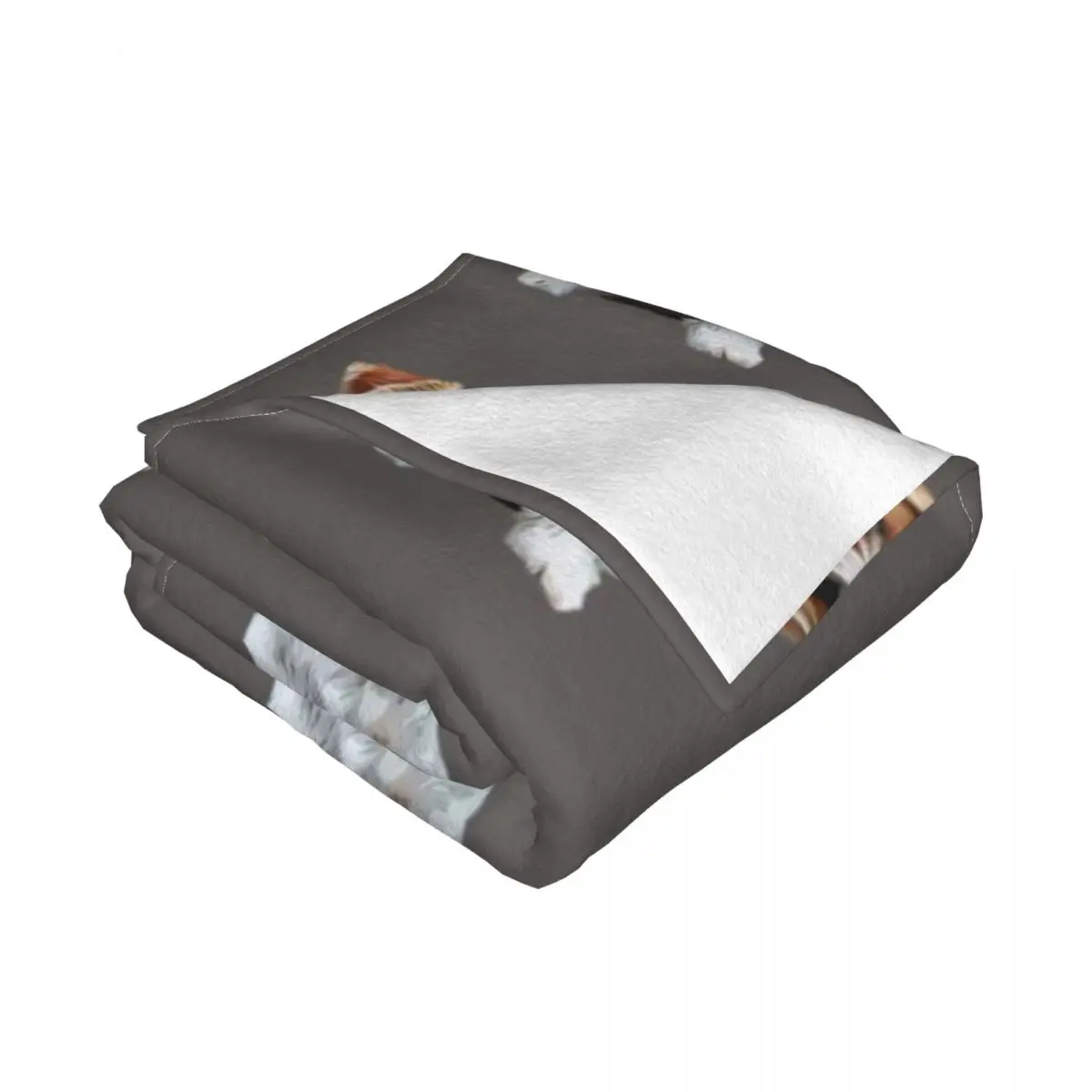 �� ���� �׸��� ���� ��Ʈ ������ ���, ���Ÿ� �����̳� ���, �� ���, ����ִ� ����