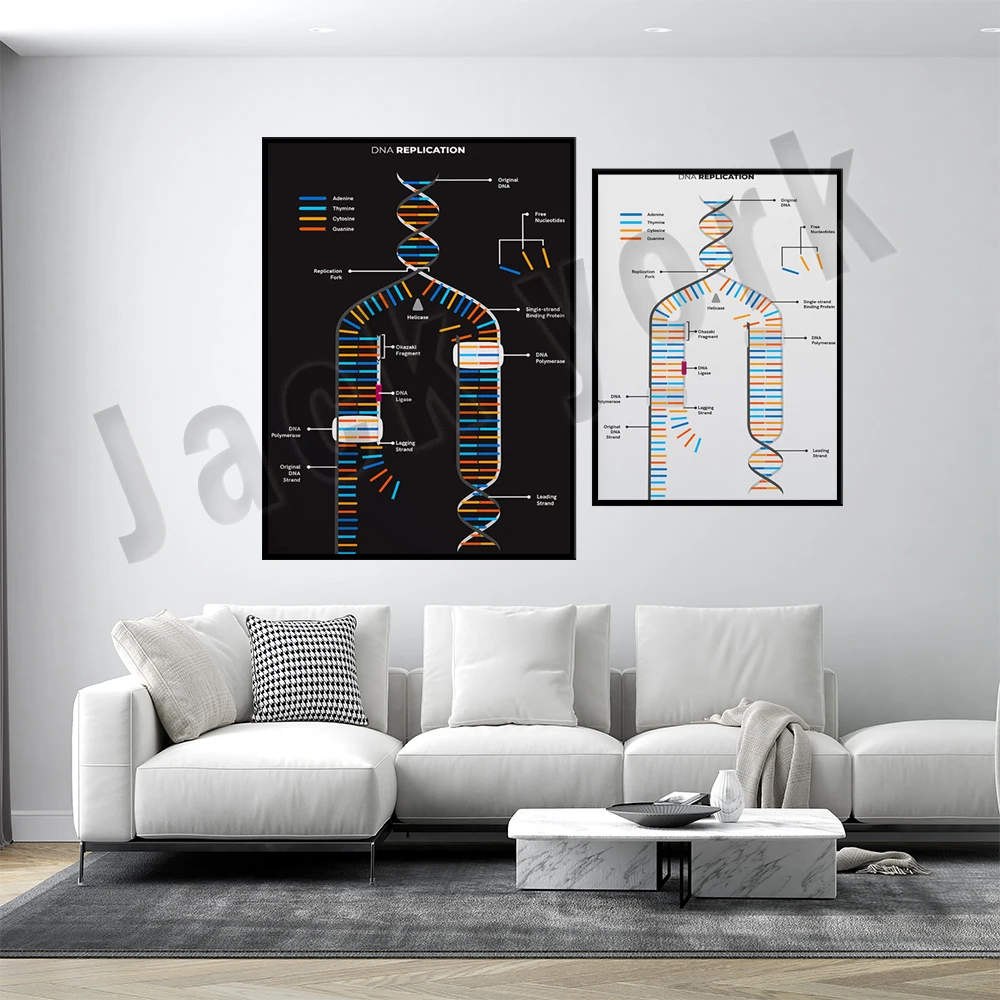 DNA-replication-cheat-sheet-gift-for-biologist-home-school-concept ...