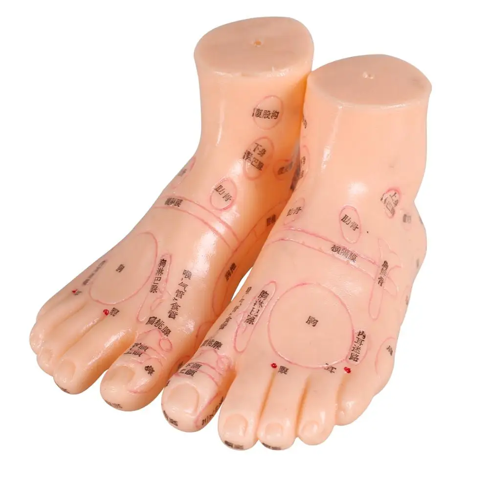Les 12 Points Miraculeux D Acupuncture Modèle D'acupuncture Du Pied De 17cm, Ensemble De Modèles, Aiguille, Modèle  De Point D'acupuncture Du Pied, Modèle 2 Pièces - Massage Outils -  AliExpress