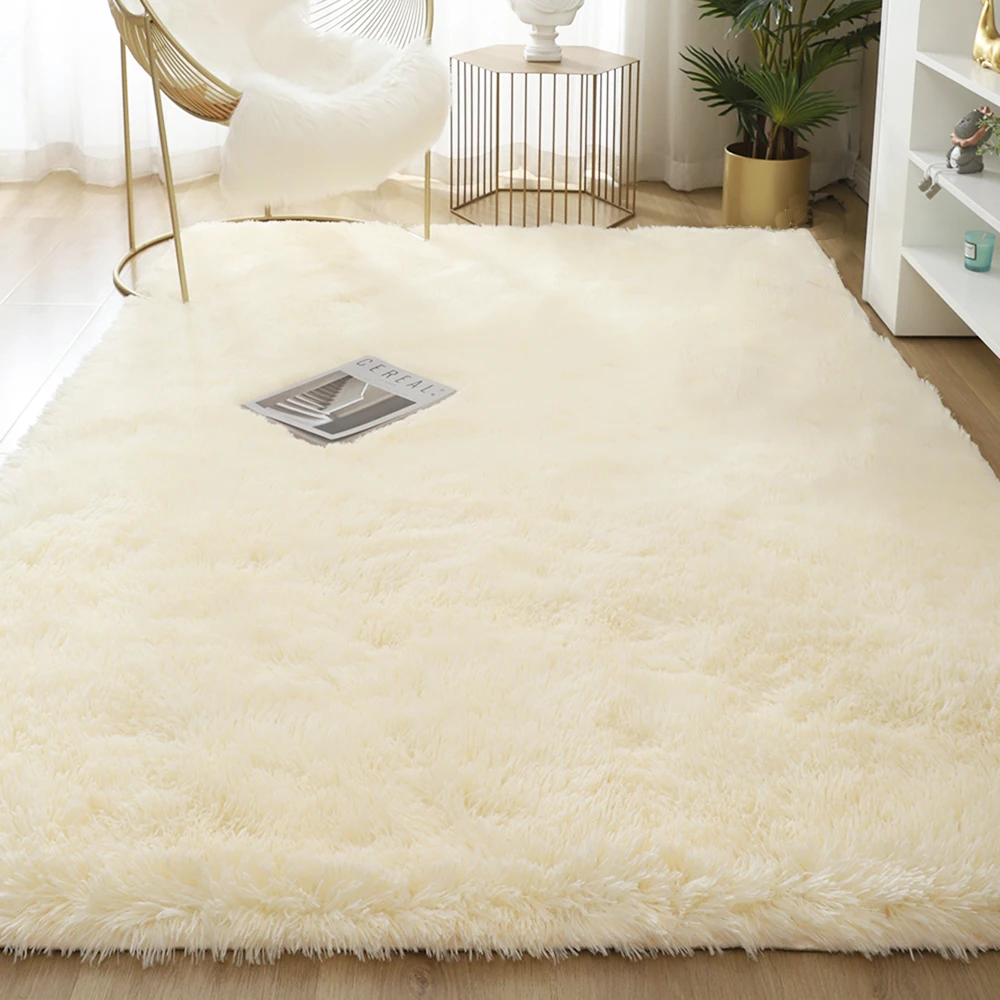 Carpet for Living Room Fluffy Bed Room Rug Home Decor Window Bedside Carpets Thick Rugs Soft Velvet Mat High Quality 6