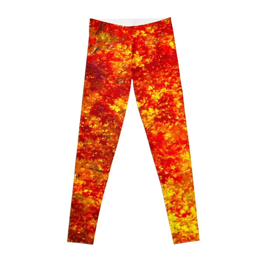Orange Maple Tree Photography Yellow Trees Autunno Woods Leggings Autunnali Per Ragazze Fitness Set Gym Leggings Da Donna