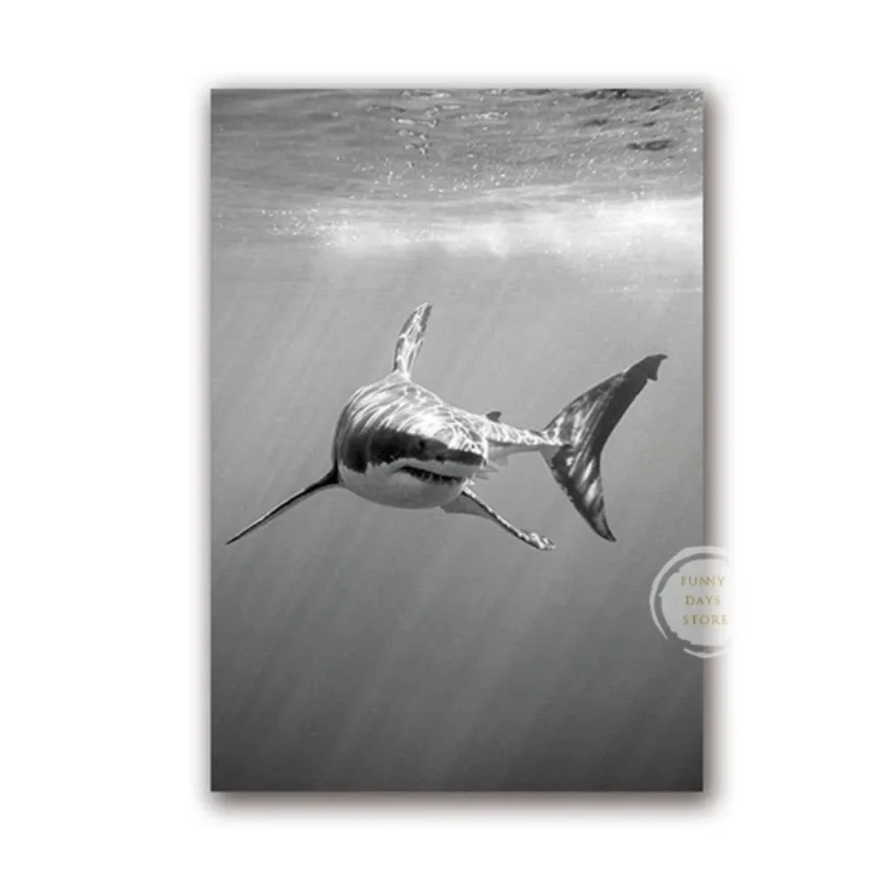 Great White Shark Ocean Giants Canvas Art - Nature Wall Decor Poster