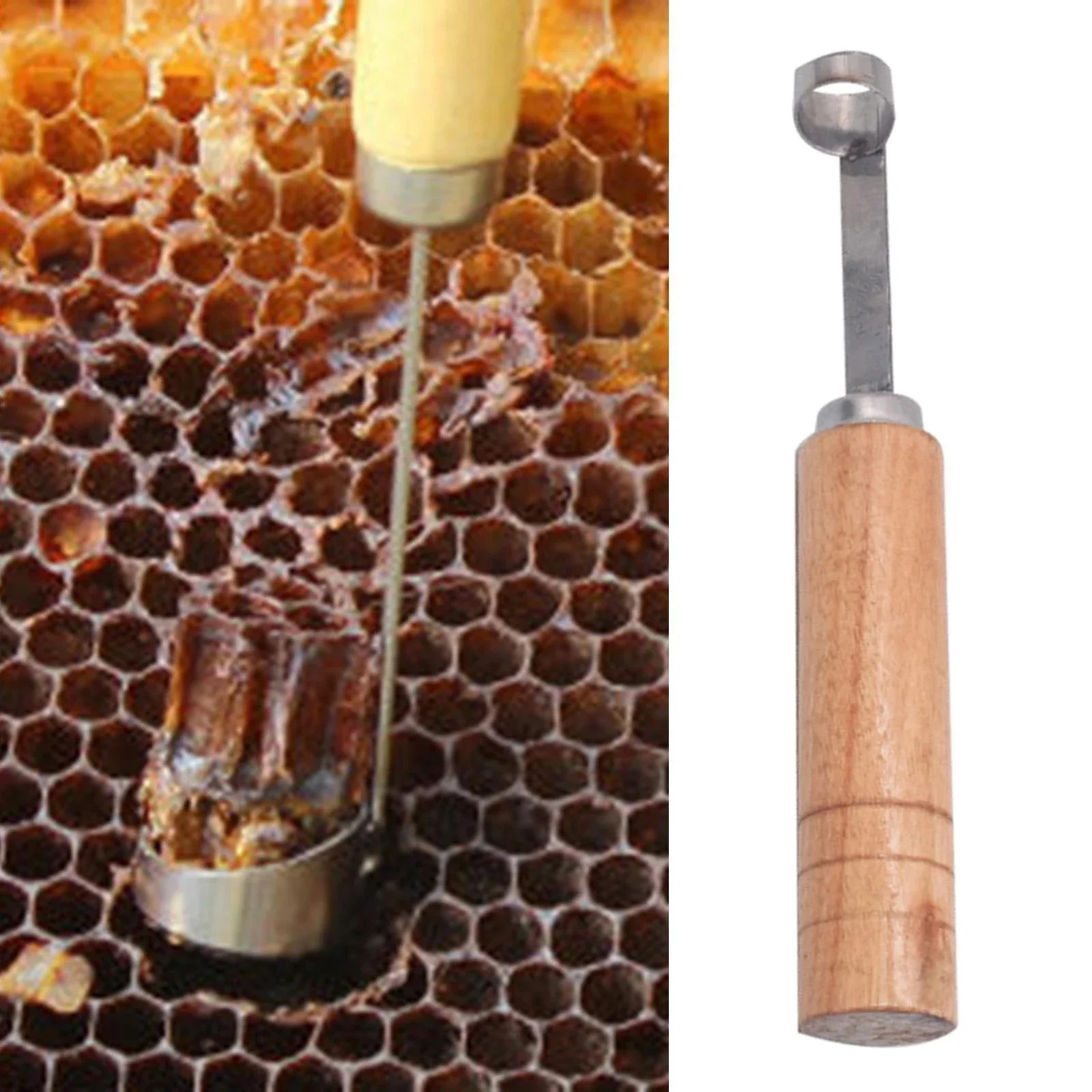 Beekeeping BeeHive Tools Beehive Cleaning Scraper Functional Honey Remover Beekeepers Supplies  Beekeeper Garden Equipment
