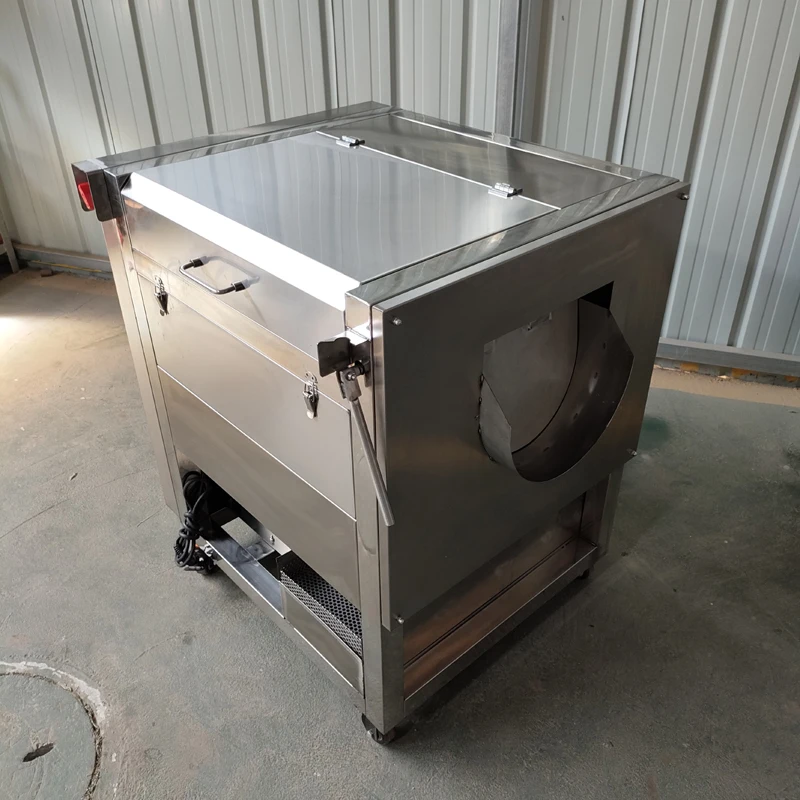 2025New Vegetable Fruit Washing Peeling Cleaning Machine 4
