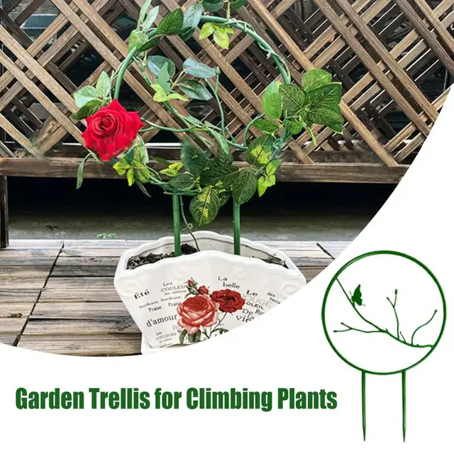 Kis Rácsos Szilárd Növényi Mászó Keret 5Db Rozsdaálló Támogatás Cserepes Virágokhoz Zöldség Szőlő Beltér - Image 4