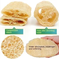 1pcs Natural Bath Loofah Exfoliating Body Sponge with Rope Loofah Scrubber for Skin Care Spa Shower Body Bath Brush Wholesale 2