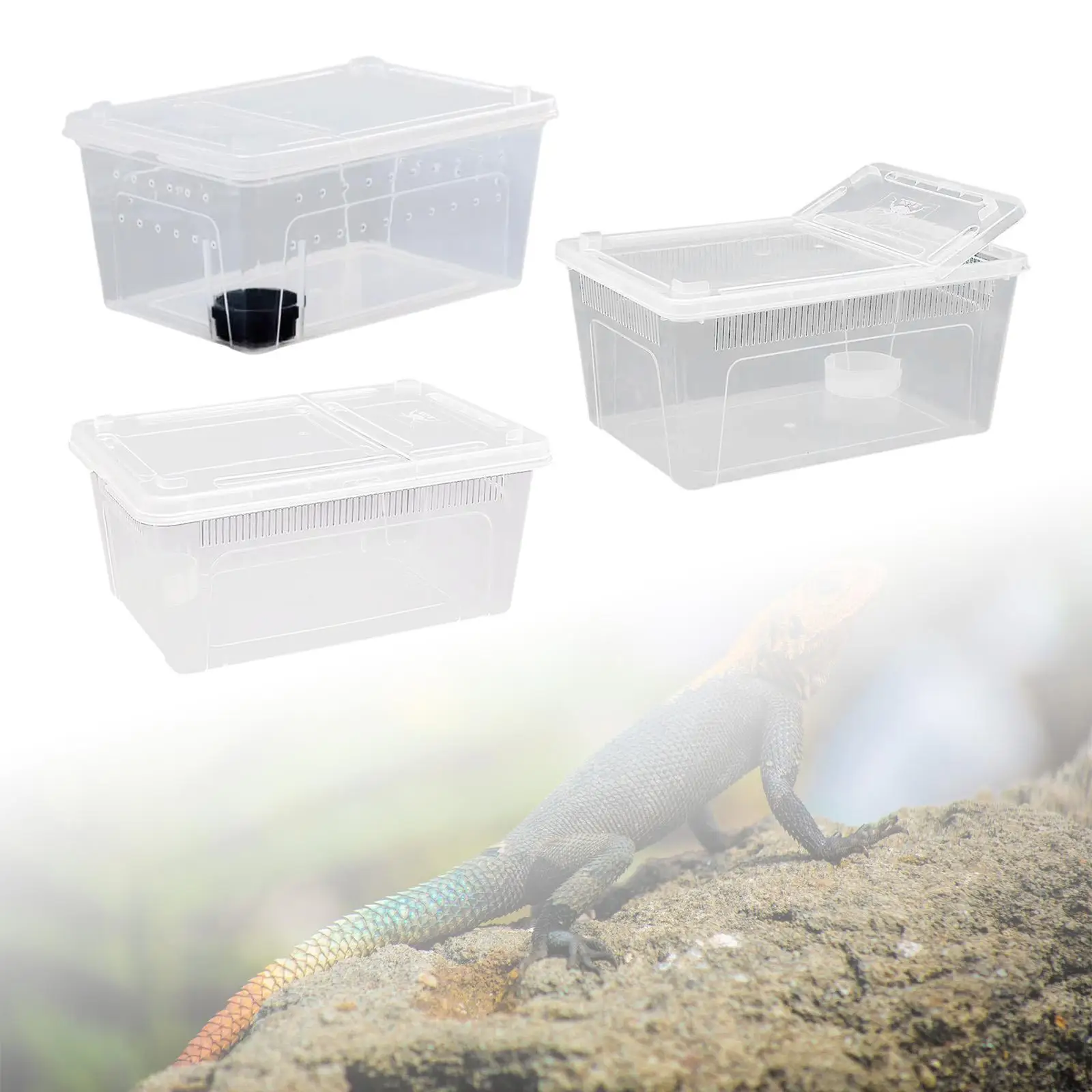 Reptile Feeding Box Hatching Container Cage Transparent House Breeding Box for Frog Turtle Bearded Dragon Scorpion Snake Reptile Feeding Box Hatching Container Cage Transparent House Breeding Box for Frog Turtle Bearded Dragon Scorpion Snake