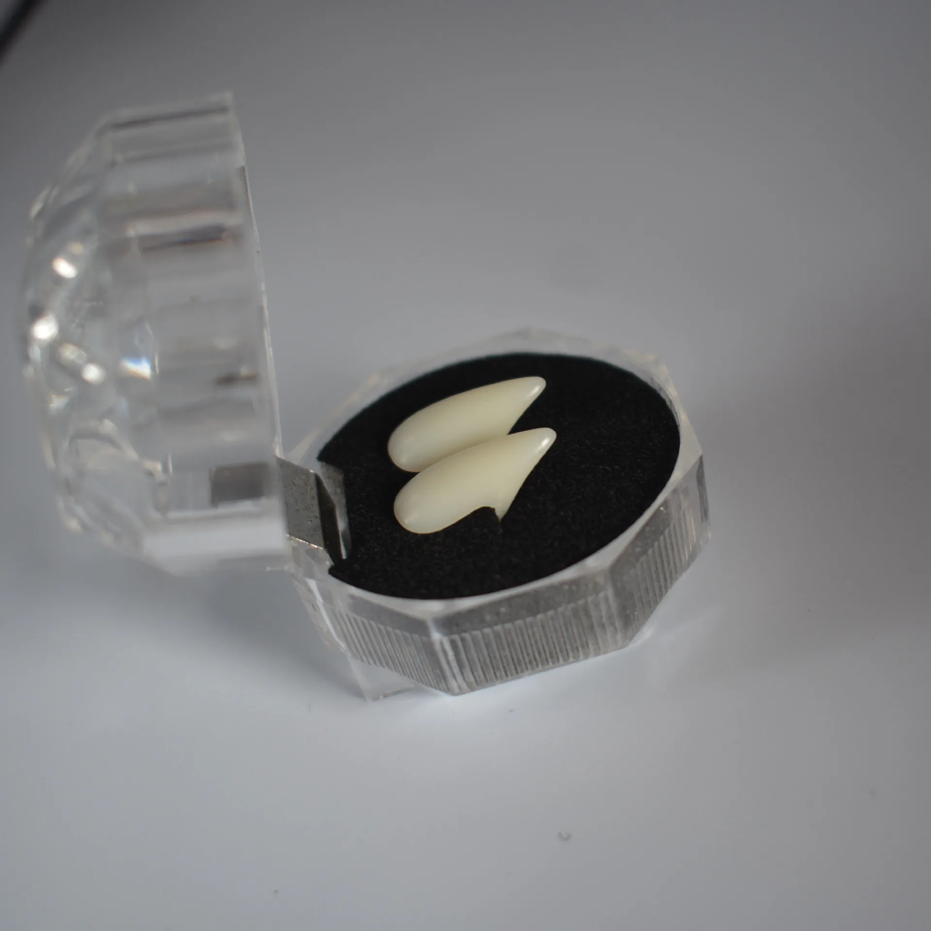 Spooky Cosplay White Vampire Fangs for Halloween Masquerade Parties