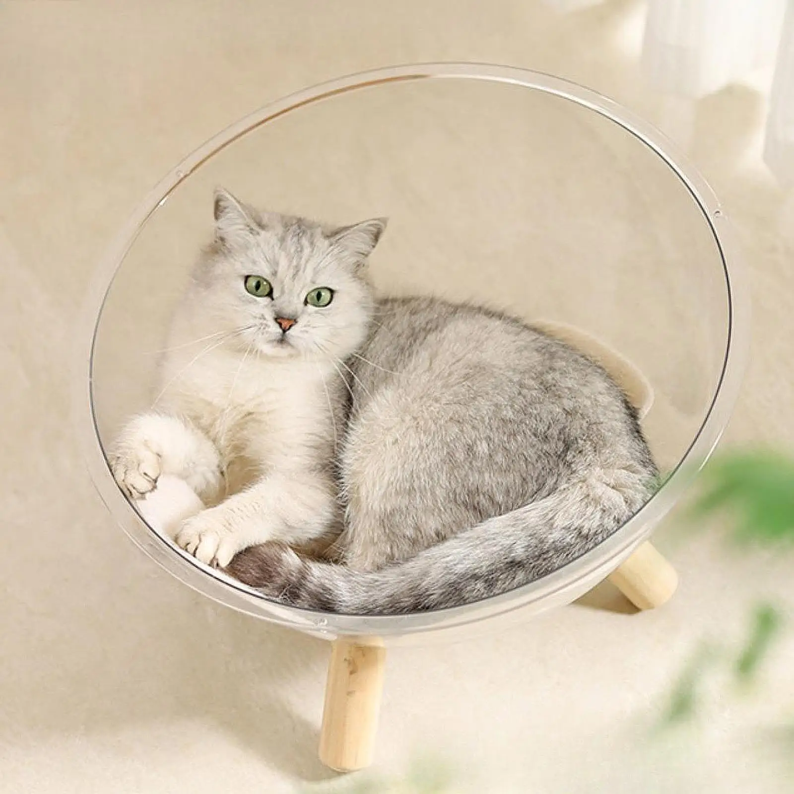 Space Capsule Bed 3