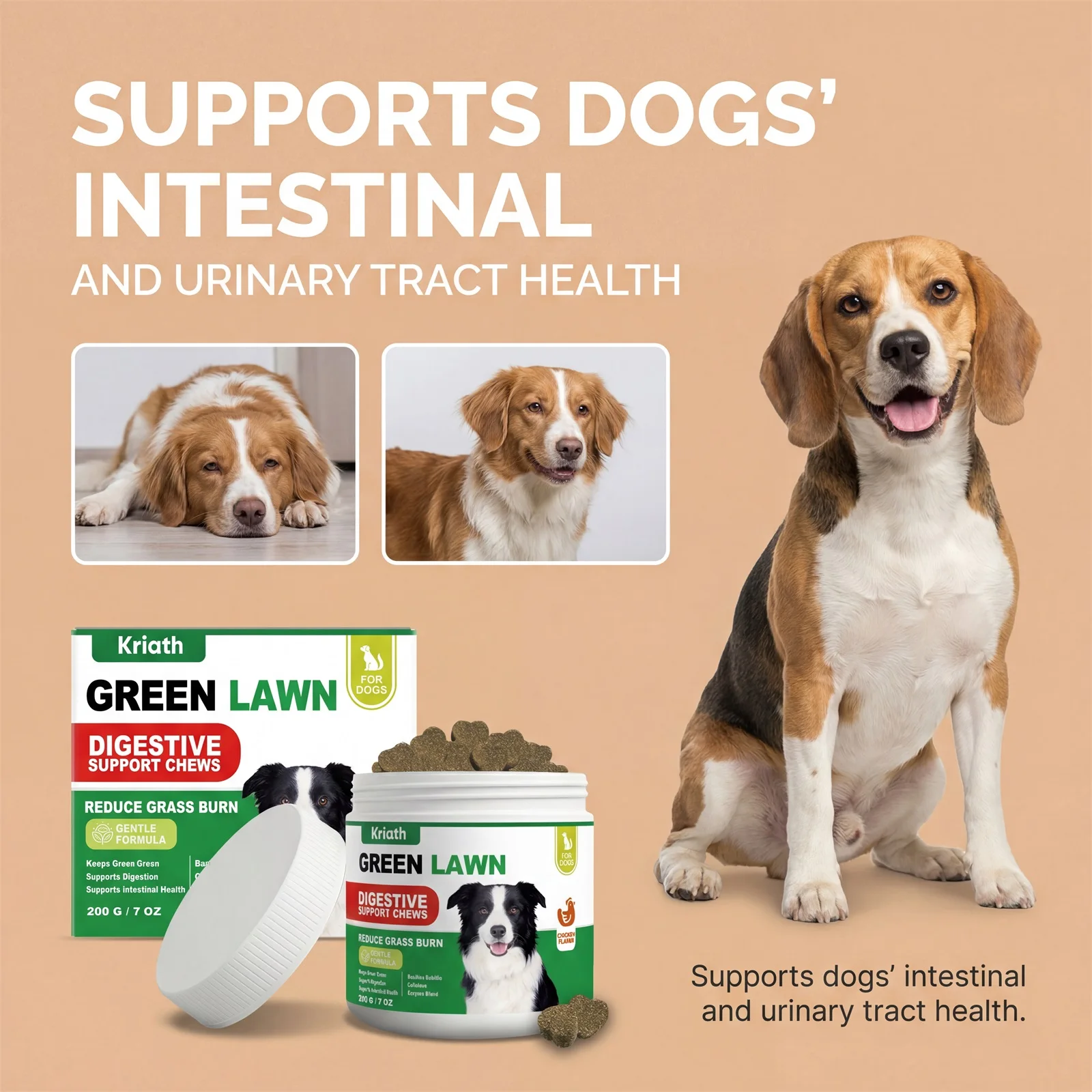 Natural Dog Digestive Support Probiotic Chews Chicken Flavored Supplement for Constipation Relief Puppy Stomach Care 200g